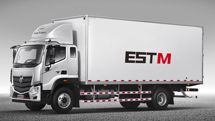 Foton Aumark EST-M 4x2 Refrigerated Truck for Sale